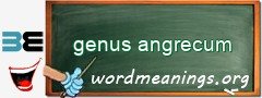 WordMeaning blackboard for genus angrecum